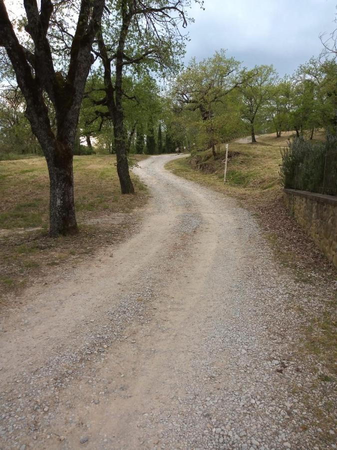 L'incrociata Farm stay Bucine